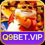 q9bet Gaming Champion
