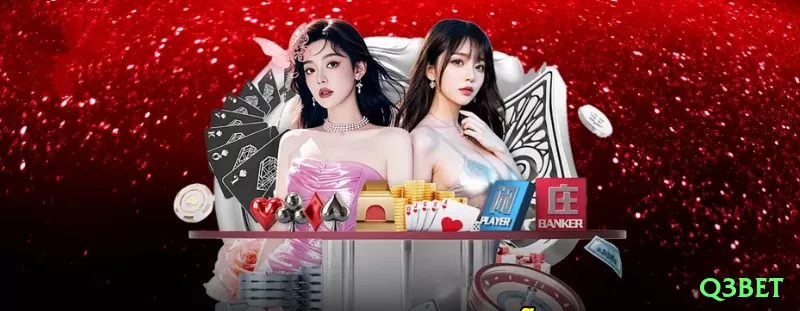 vvvpg Prime v4.8.2 Screenshot 1